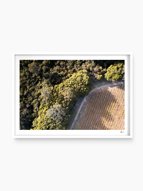 Cape Mentelle Winery 04 - Wall Art Print - Australia Unseen