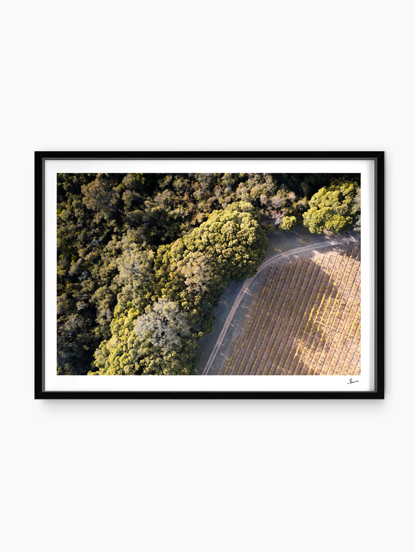 Cape Mentelle Winery 04 - Wall Art Print - Australia Unseen