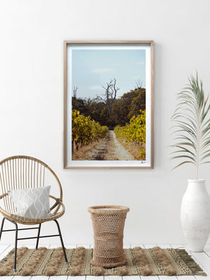 Cape Mentelle Winery 05 - Wall Art Print - Australia Unseen