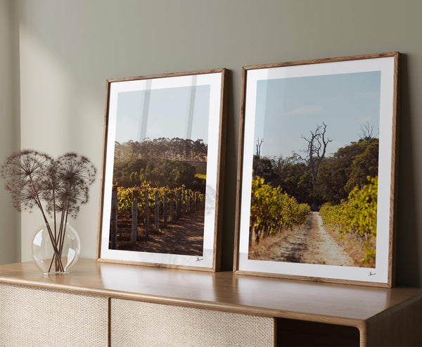 Cape Mentelle Winery 05 - Wall Art Print - Australia Unseen