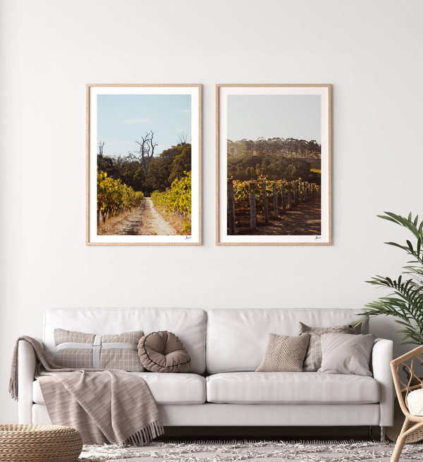 Cape Mentelle Winery 05 - Wall Art Print - Australia Unseen