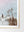 Coastal Dream - Wall Art Print - Australia Unseen