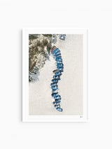 Coogee - Beach Boats - Wall Art Print
