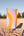 Coogee Beach Towel - Australia Unseen