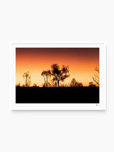 Desert Sunrise 01 - Wall Art Print
