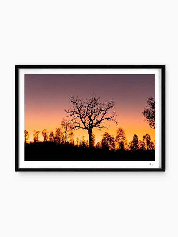 Desert Sunrise 02 - Wall Art Print - Australia Unseen
