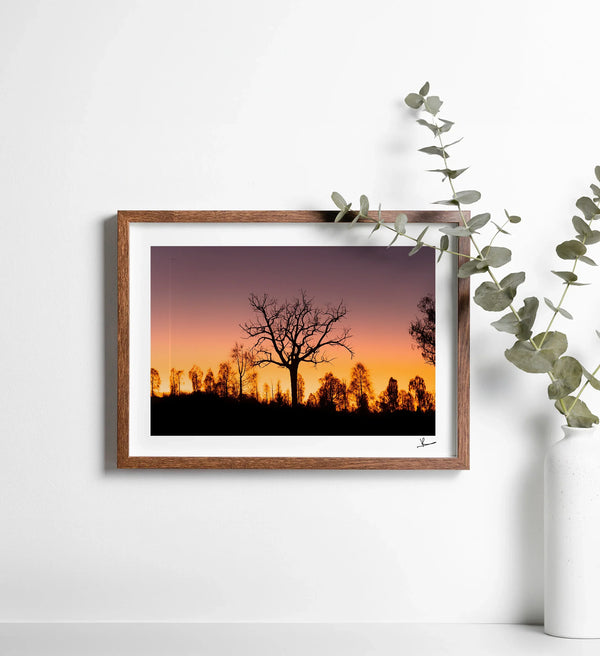 Desert Sunrise 02 - Wall Art Print - Australia Unseen