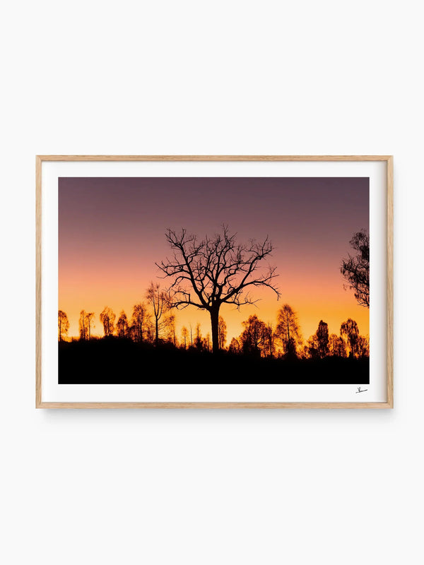 Desert Sunrise 02 - Wall Art Print - Australia Unseen