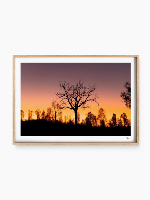 Desert Sunrise 02 - Wall Art Print - Australia Unseen