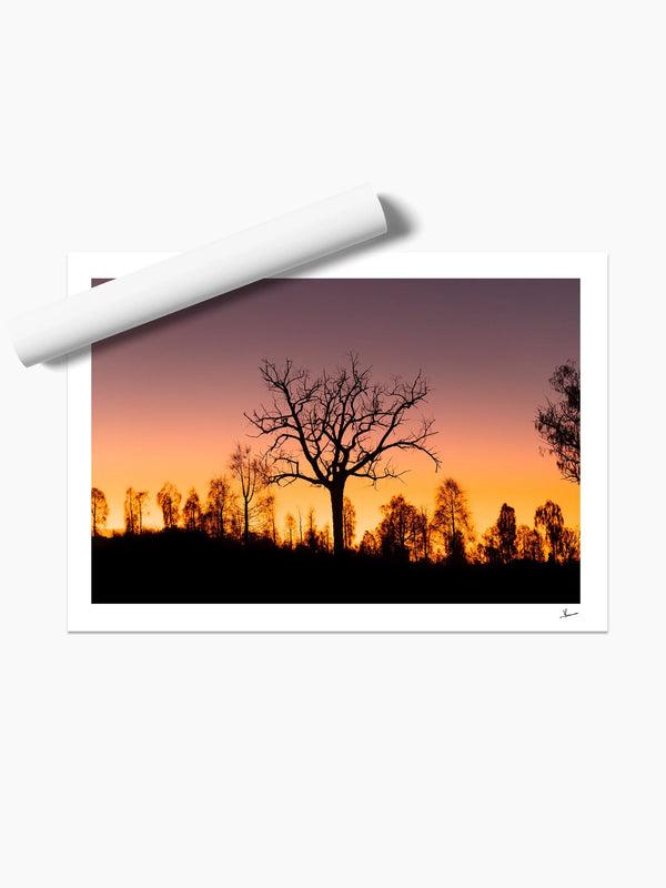 Desert Sunrise 02 - Wall Art Print - Australia Unseen