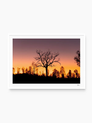 Desert Sunrise 02 - Wall Art Print - Australia Unseen