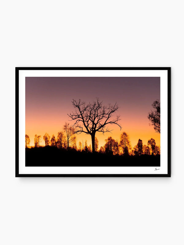 Desert Sunrise 02 - Wall Art Print - Australia Unseen