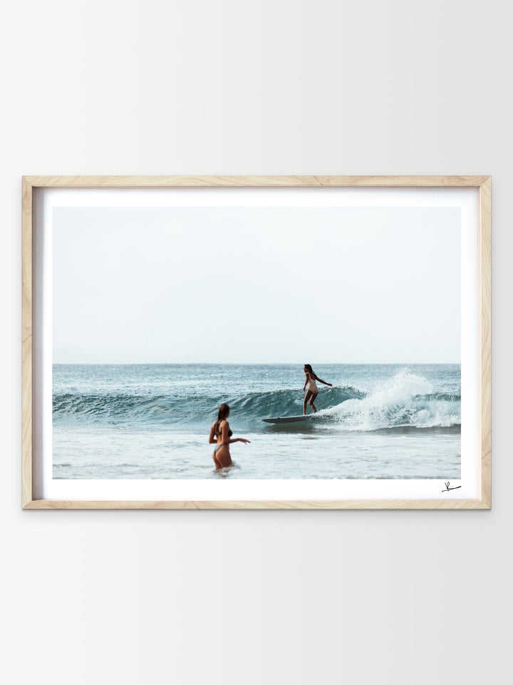 Glide and Grace - Wall Art Print - Australia Unseen