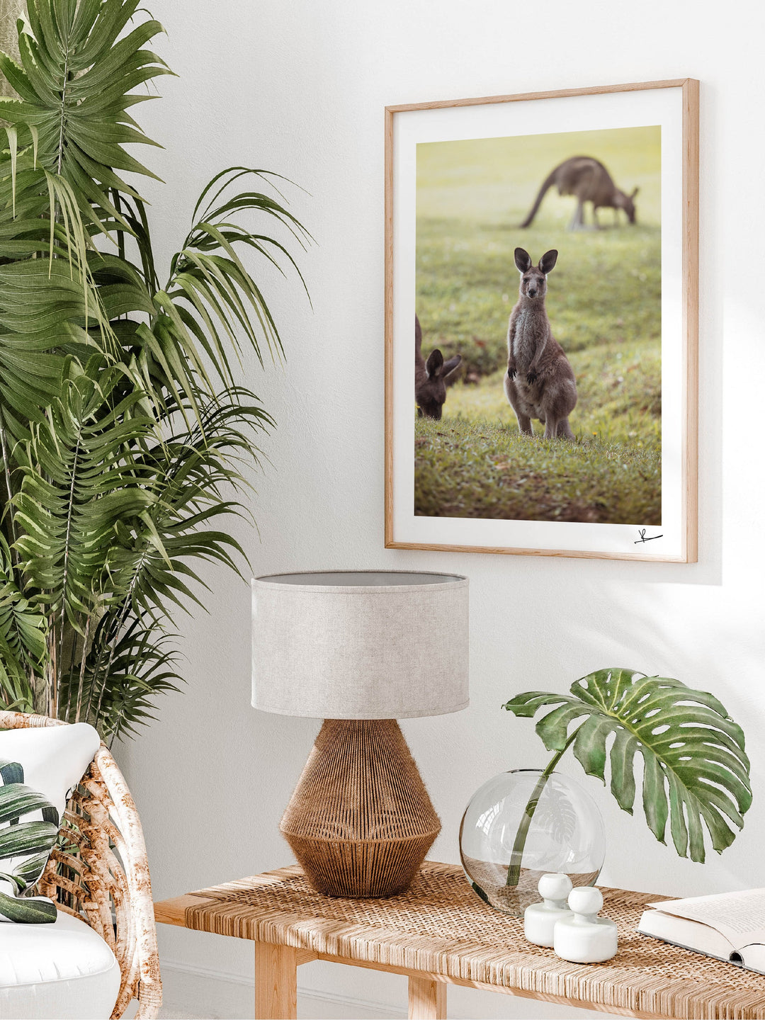 Kangaroos 02 (South West Rocks, NSW) - Wall Art Print - Australia Unseen