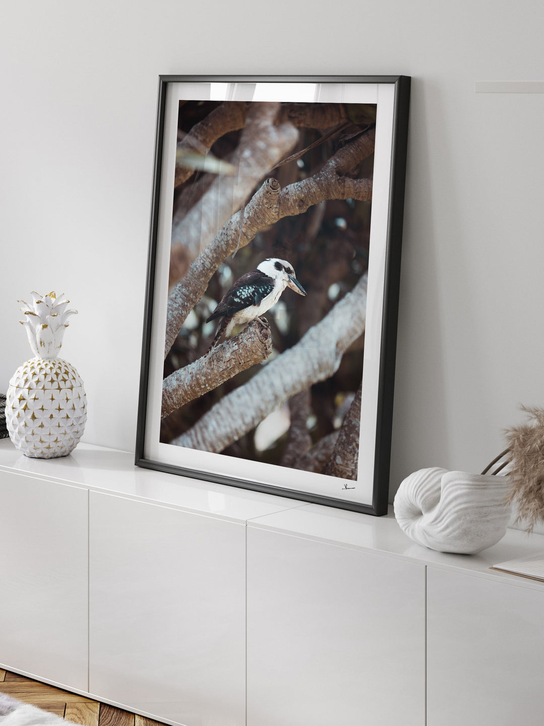 Kookaburra 01 (South West Rocks, NSW) - Wall Art Print - Australia Unseen