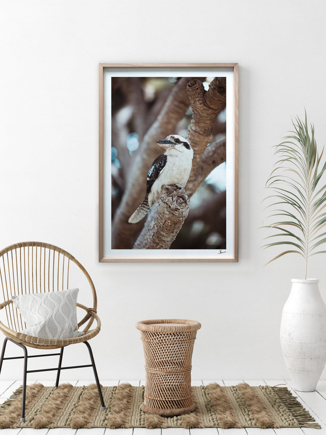 Kookaburra 02 (South West Rocks, NSW) - Wall Art Print - Australia Unseen