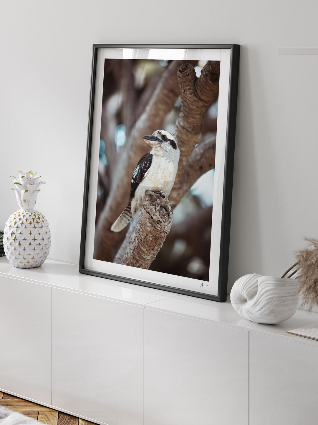 Kookaburra 02 (South West Rocks, NSW) - Wall Art Print - Australia Unseen