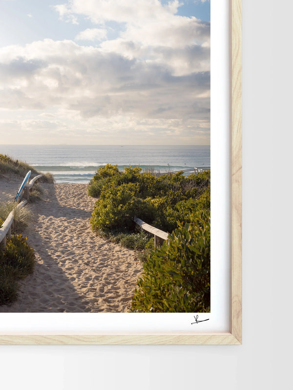Morning Path to the Surf - Freshwater Wall Art Print - Australia Unseen