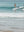 Surf Duo - Wall Art Print