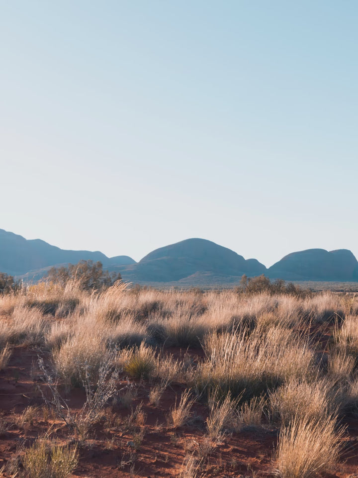 Kata Tjuta 02 - Wall Art Print