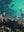 Gordons Bay 01 - Wall Art Print