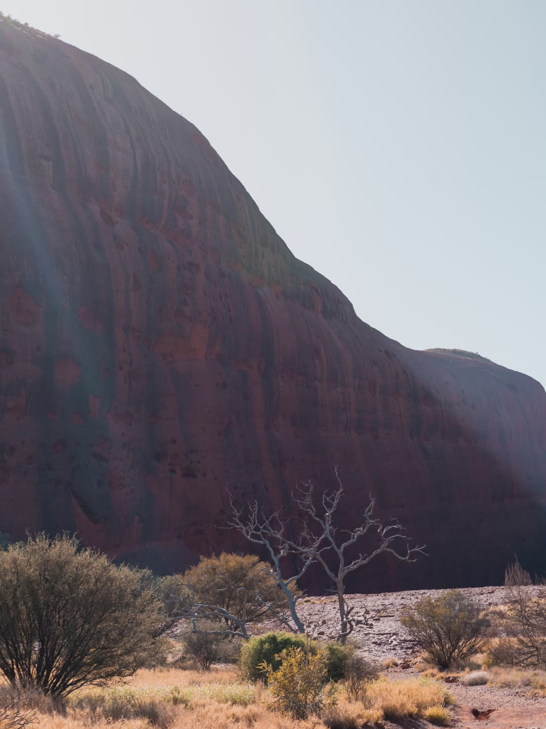 Walpa Gorge - Wall Art Print