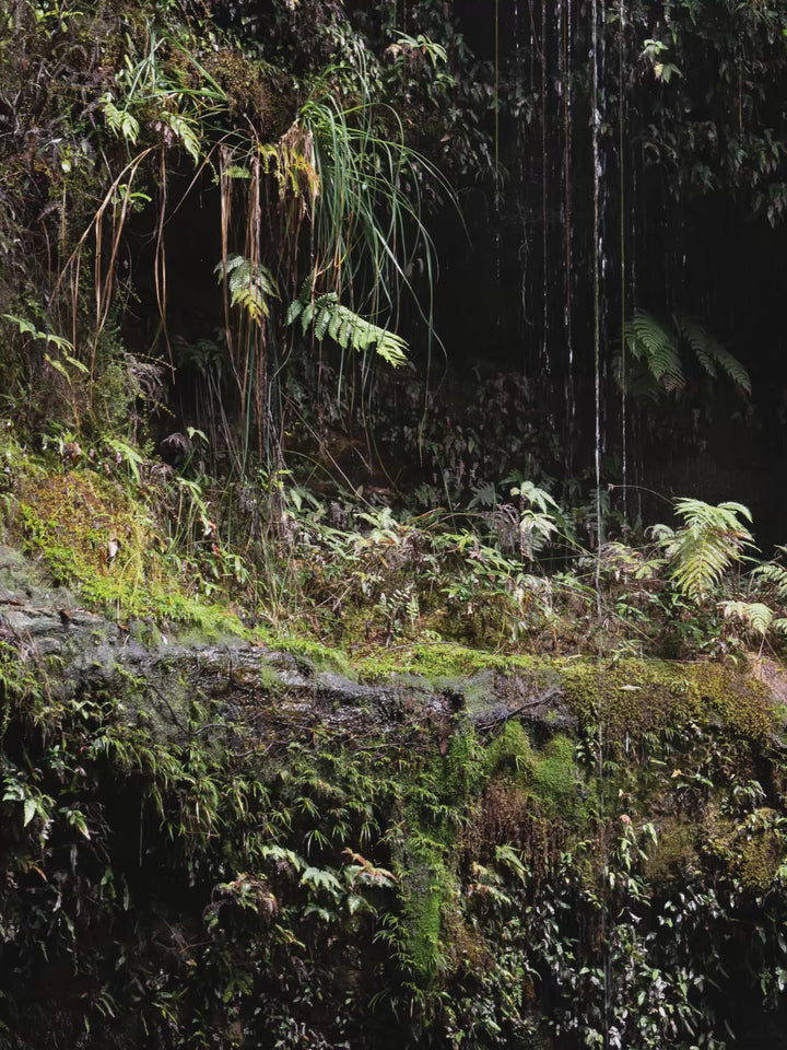 Blue Mountains 04 - Waterfall - Wall Art Print