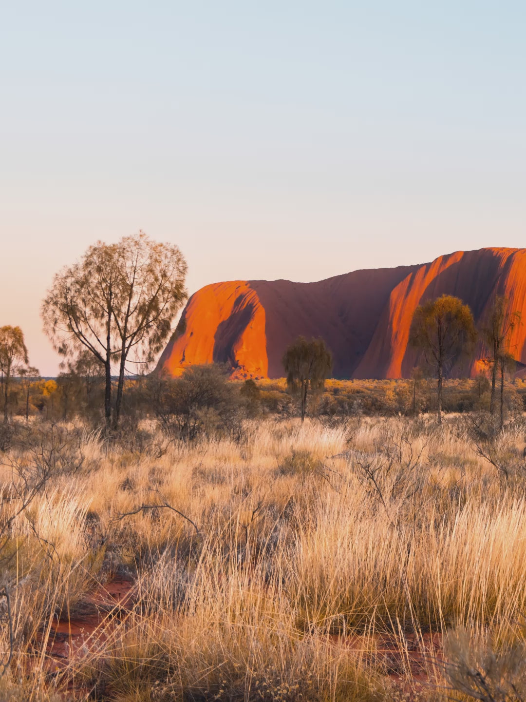 Uluru Sunrise 01 - Australian Wall Art Print