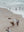 Shoreline Stories - Wall Art Print