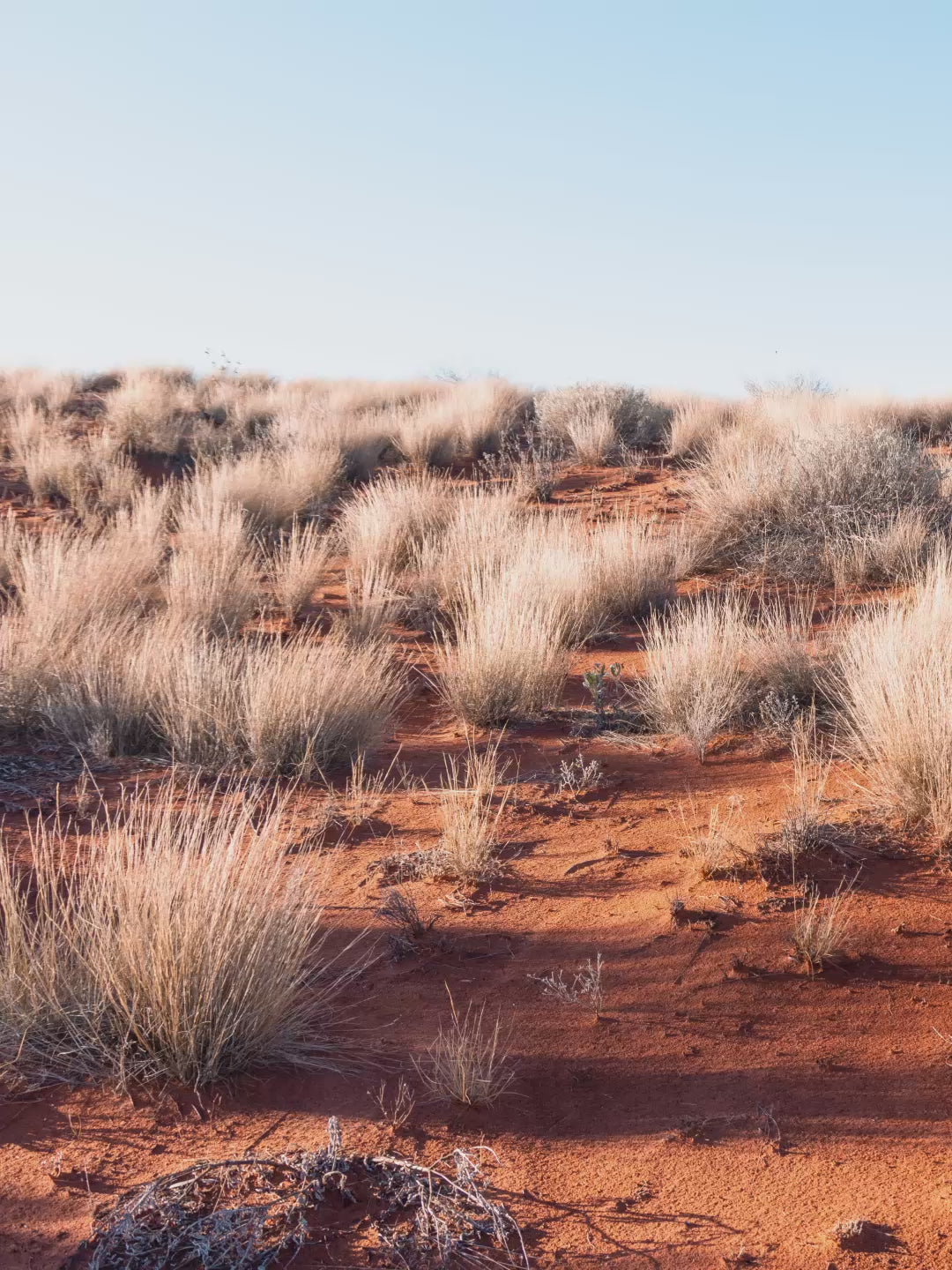 Red Dune - Wall Art Print