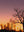 Desert Sunrise 02 - Wall Art Print