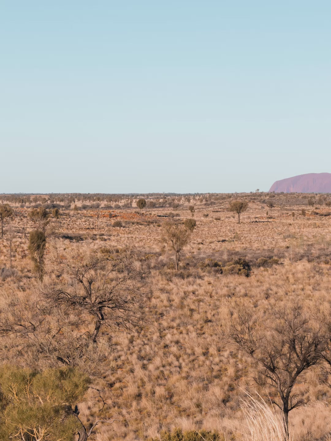 Monolithic Majesty - Uluru - Wall Art Print