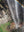 Minyon Falls 05 - Wall Art Print