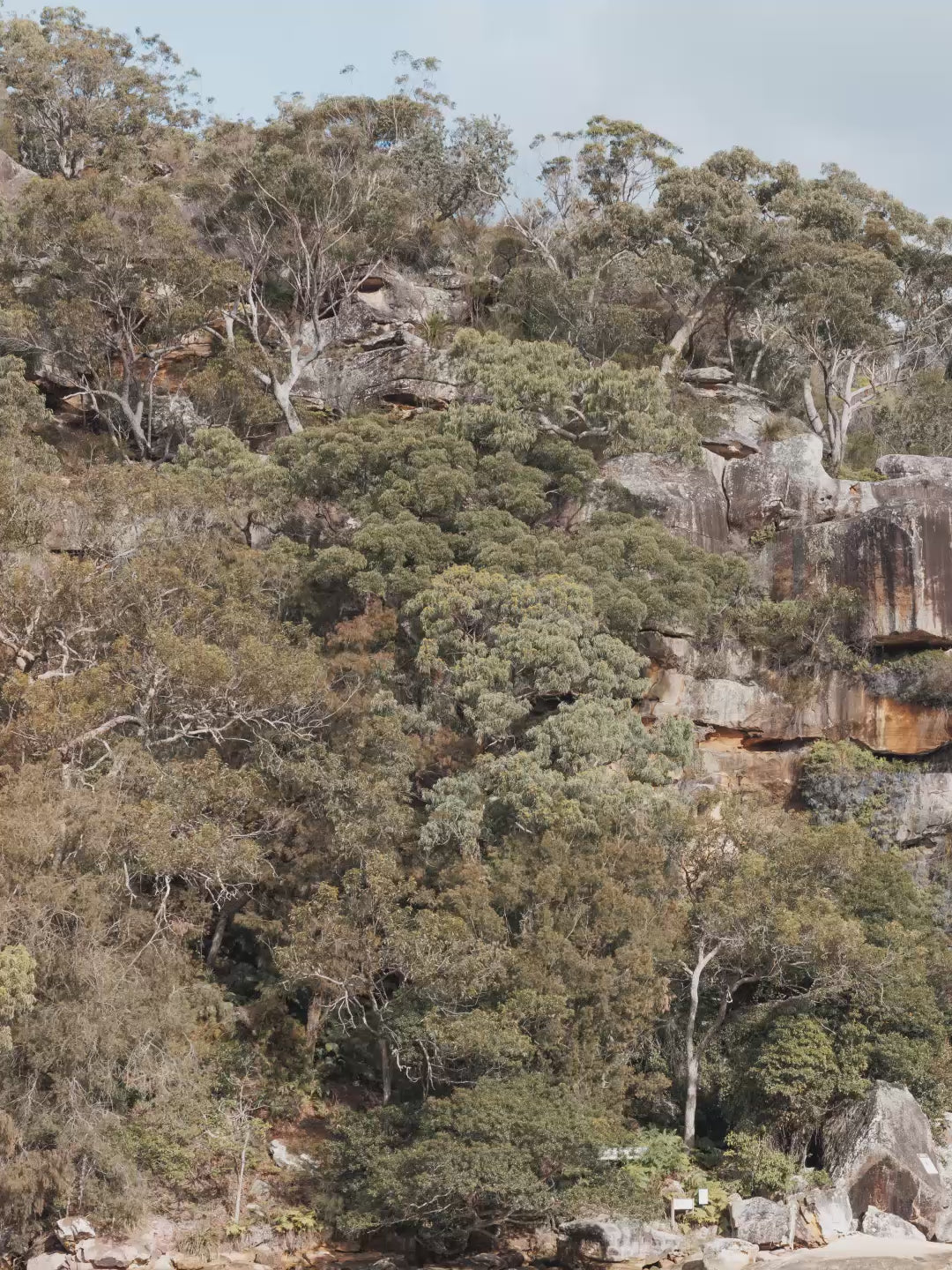 Refuge Bay Waterfall – Hawkesbury River Wall Art Print