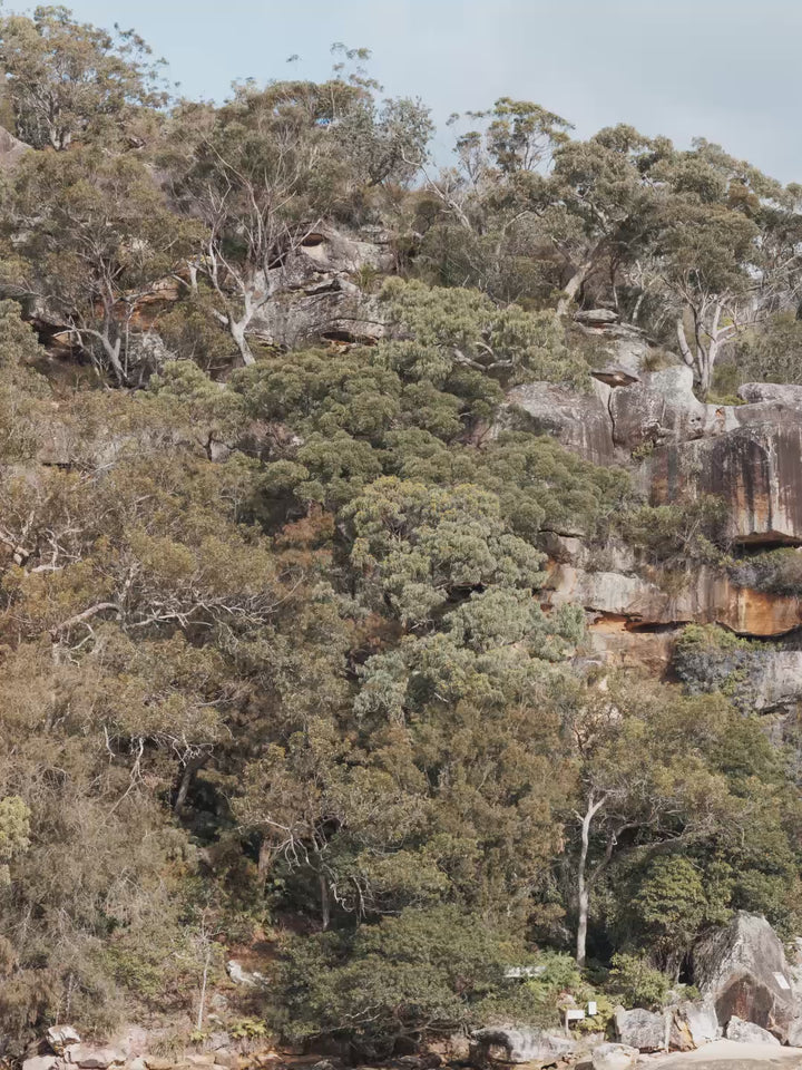 Refuge Bay Waterfall – Hawkesbury River Wall Art Print