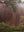 Kantju Gorge 01 - Wall Art Print