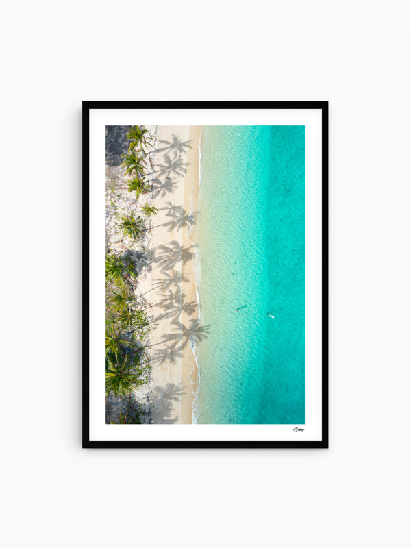 Shadows & Palms - Whitsundays Wall Art Print - Australia Unseen