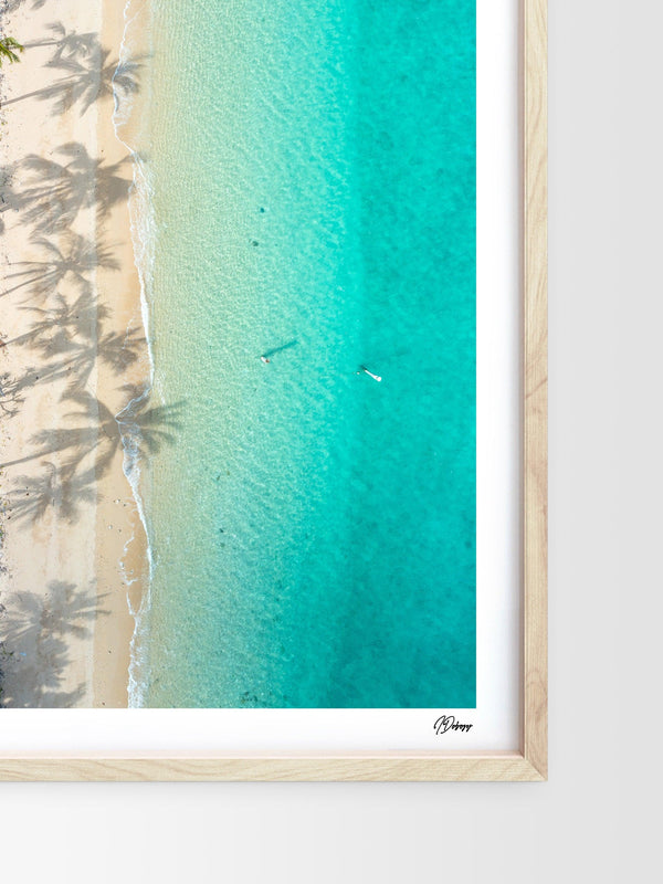 Shadows & Palms - Whitsundays Wall Art Print - Australia Unseen