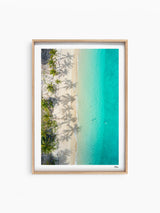 Shadows & Palms - Whitsundays Wall Art Print