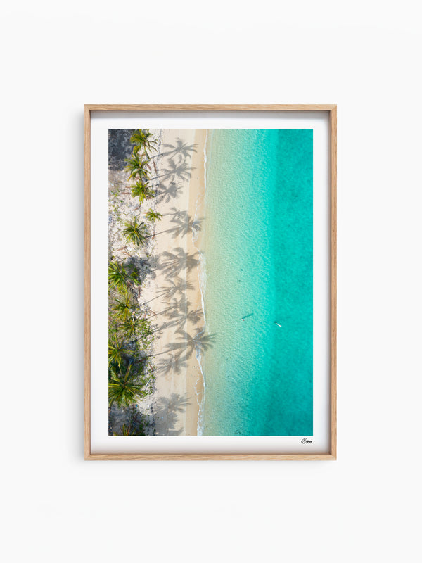 Shadows & Palms - Whitsundays Wall Art Print - Australia Unseen