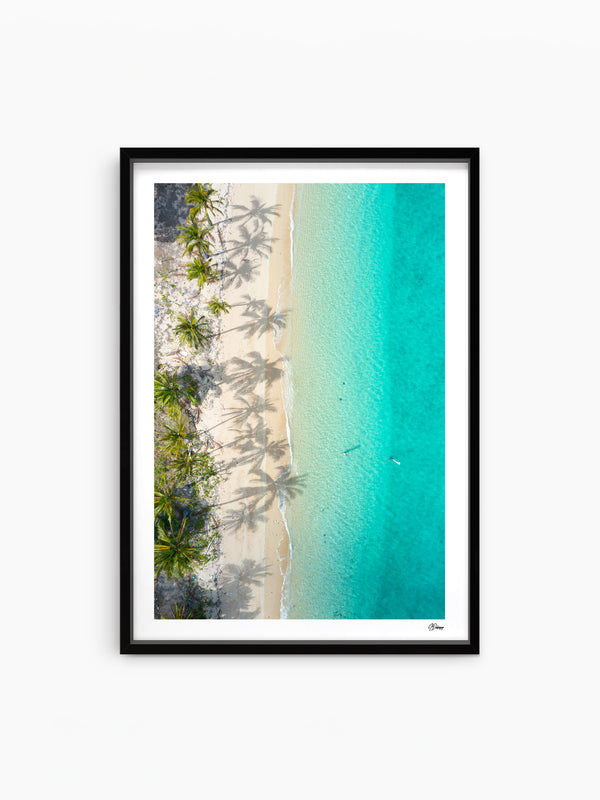 Shadows & Palms - Whitsundays Wall Art Print - Australia Unseen