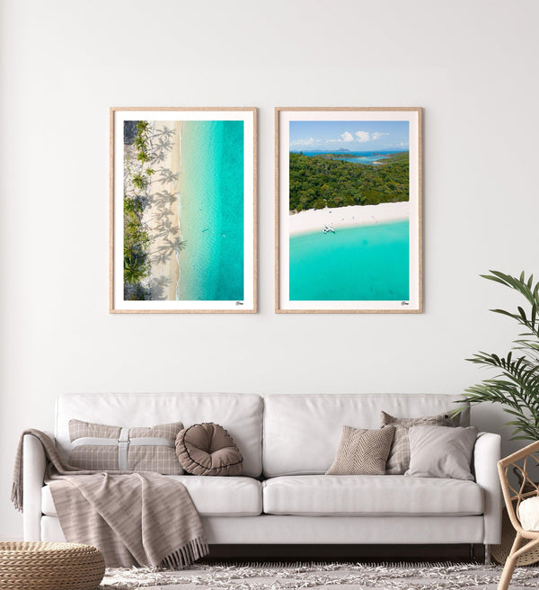 Shadows & Palms - Whitsundays Wall Art Print - Australia Unseen