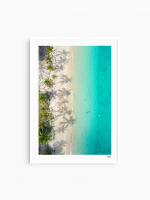 Shadows & Palms - Whitsundays Wall Art Print - Australia Unseen
