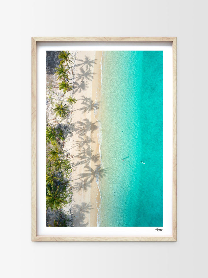 Shadows & Palms – Whitsundays Wall Art Print - Australia Unseen