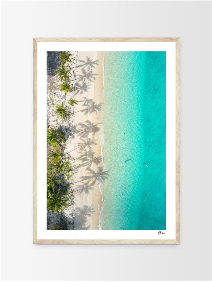 Shadows & Palms – Whitsundays Wall Art Print - Australia Unseen