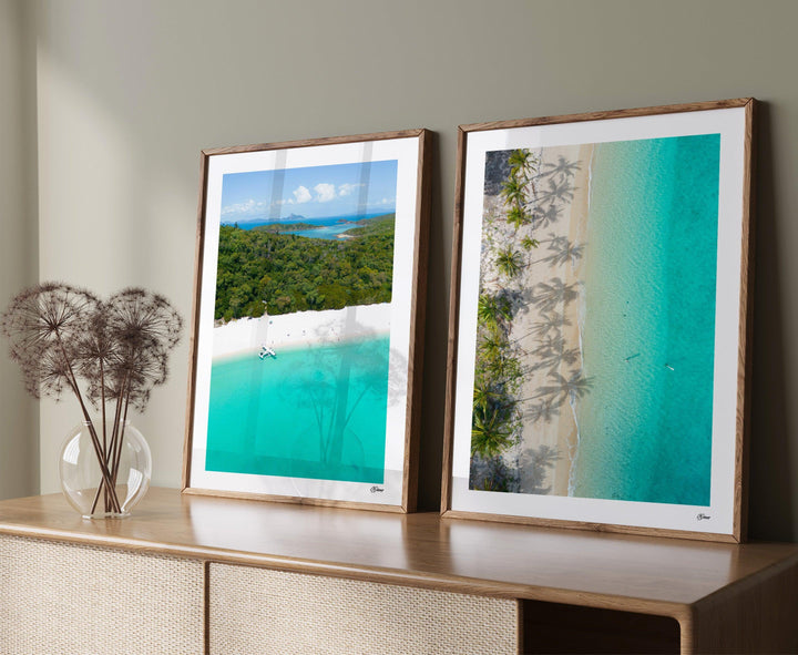 Shadows & Palms – Whitsundays Wall Art Print - Australia Unseen