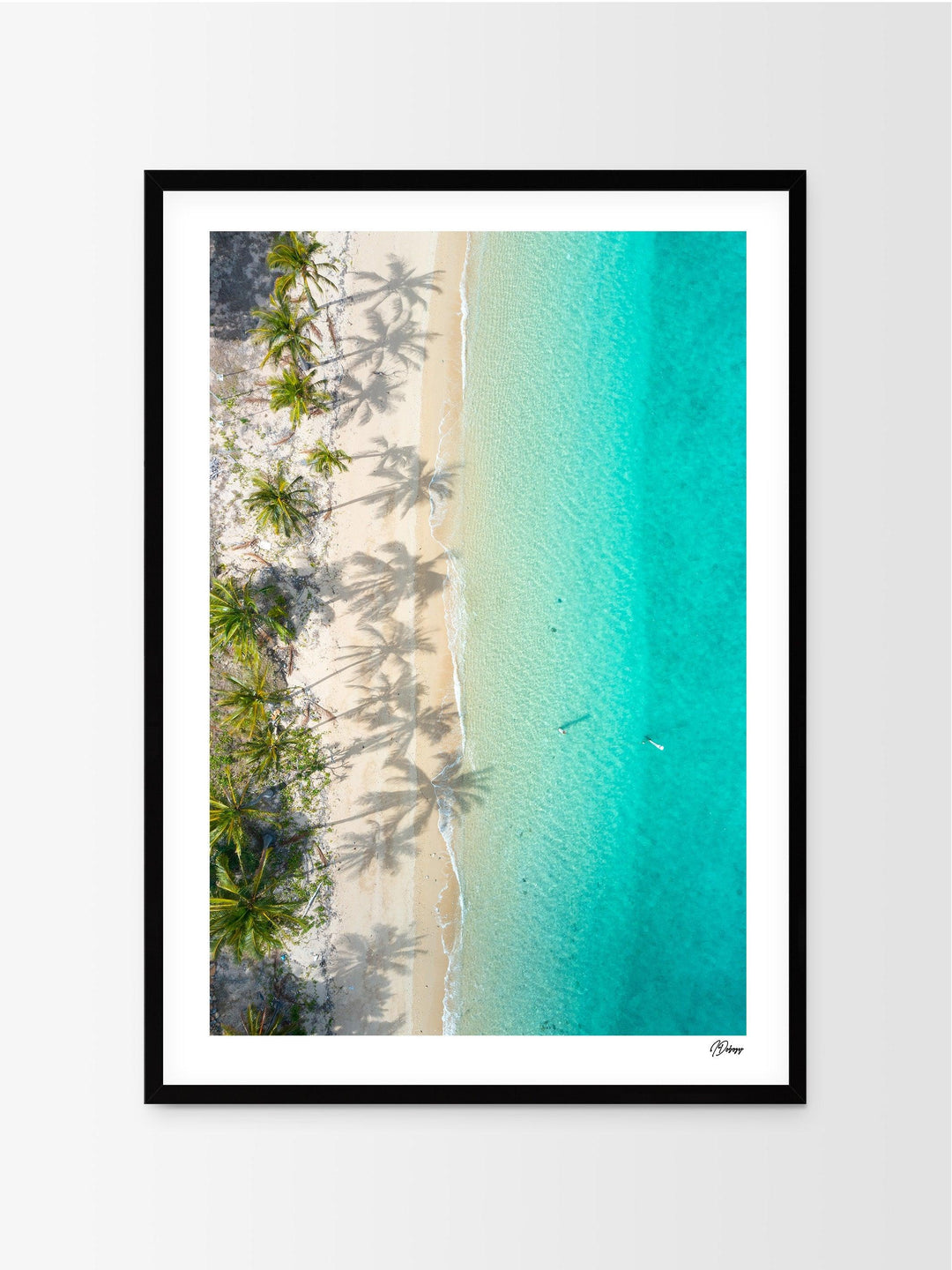 Shadows & Palms – Whitsundays Wall Art Print - Australia Unseen