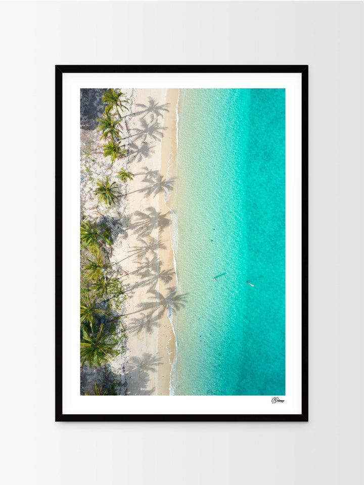Shadows & Palms – Whitsundays Wall Art Print - Australia Unseen