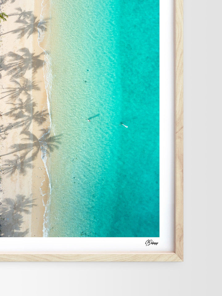 Shadows & Palms – Whitsundays Wall Art Print - Australia Unseen