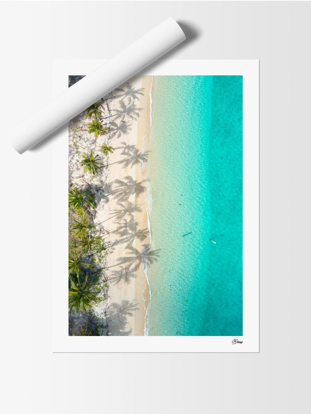 Shadows & Palms – Whitsundays Wall Art Print - Australia Unseen